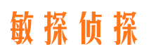 靖边侦探公司